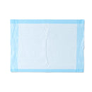 Protection Plus Single-Use Moderate-Absorbency Underpad, 17" x 24" (43 cm x 61 cm)