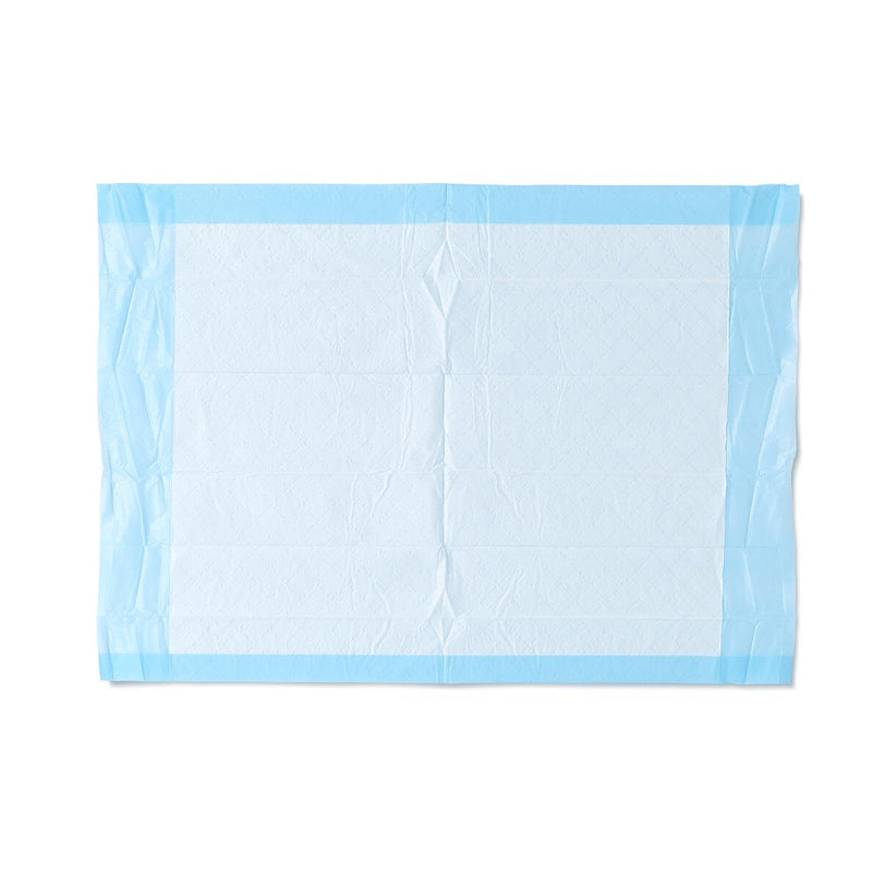 Protection Plus Single-Use Moderate-Absorbency Underpad, 17" x 24" (43 cm x 61 cm)