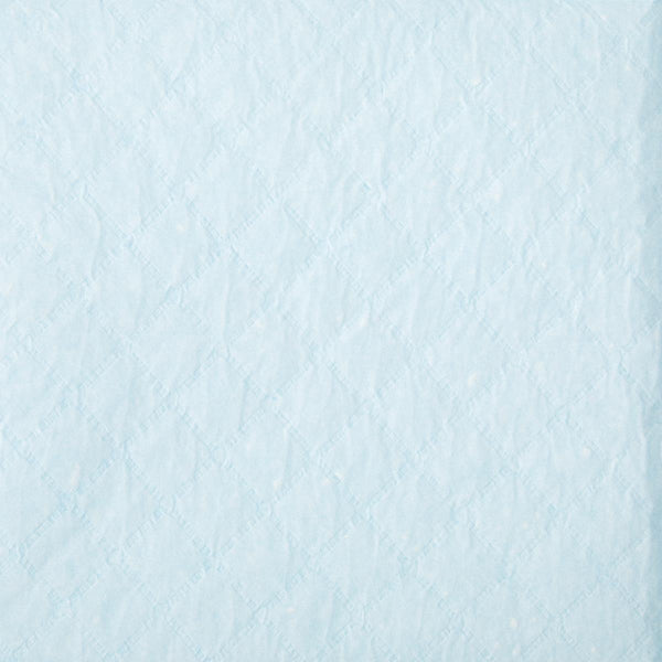 Protection Plus Single-Use Light-Absorbency Underpad, 23" x 36" (58 cm x 91 cm)