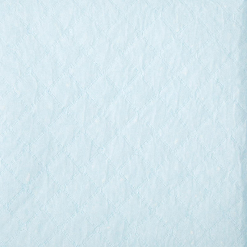 Protection Plus Single-Use Light-Absorbency Underpad, 23" x 36" (58 cm x 91 cm)